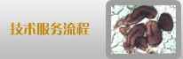 技术服务流程