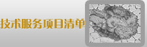 技术服务项目清单